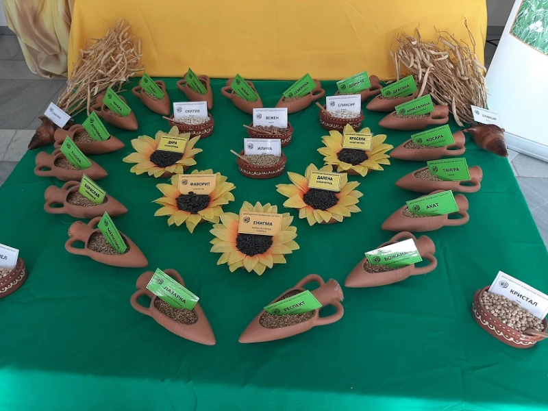Добруджански земеделски институт участва в "Селското стопанство и всичко за него" с богата гама оригинални семена от собствени сортове