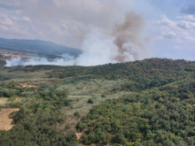 Пожар бушува в борова гора край Хисаря
