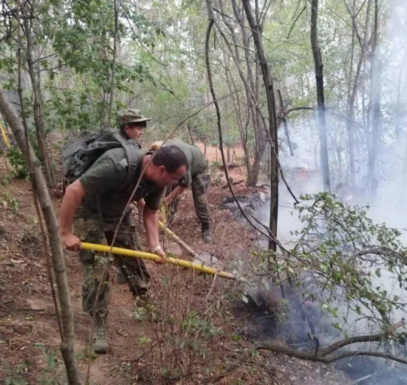 Сухопътни войски оказват помощ в борбата с пожара в землището на село Михилци, Община Хисаря