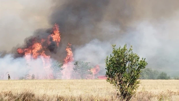Три пожара бушуват в Хасковско