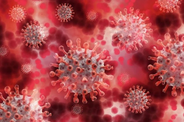 TD 22 са новите случаи на коронавирус у нас Направени са