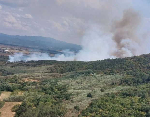 Военни продължават борбата с пожара край пловдивско село