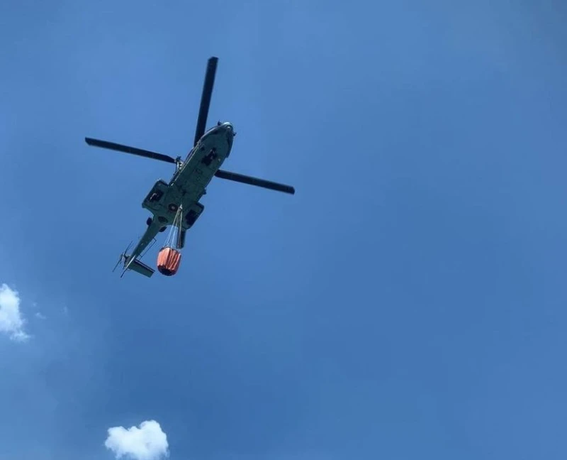 ���� ������� ��� ����� ��� ��������: ��� ���������� ������� � ���������� �� ���� �������