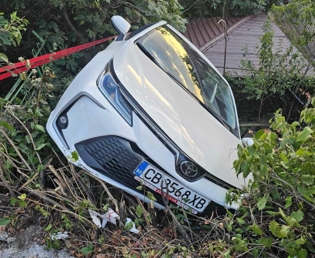 </TD
>Автомобил се приземи в двора на къща в Пловдив. Куриозният инцидент