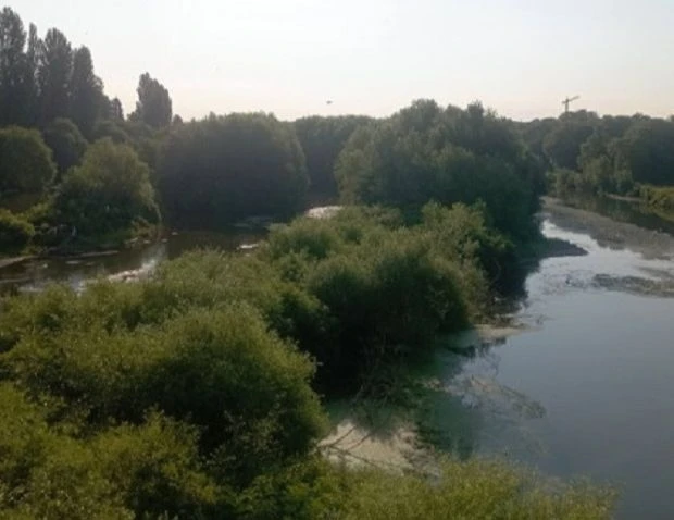 Есенните дъждове чукат на вратата в Пловдив, джунглата в Марица си остава