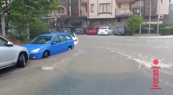 ����� ������ �� ������: ����������� �� �������� ���������������, ��������� ���� ����