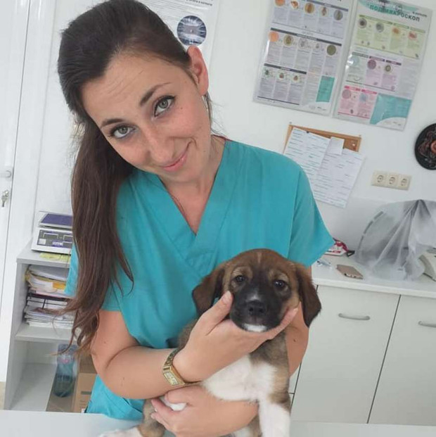 Все още няма надежда за ветеринарната докторка Даниела Йорданова която