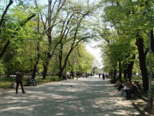 Организират забава за деня на младежката активност 