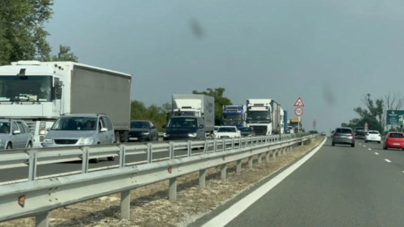 ���������� � ���������� ��� 217 �� �� �� "������" � ������ �����