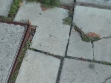 ���� � � ��������� ������ ���� ������ ������ ������ �������