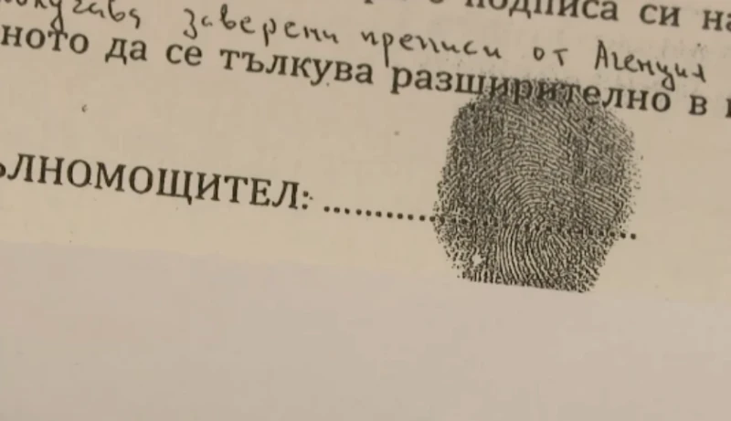 ������ ������ ������