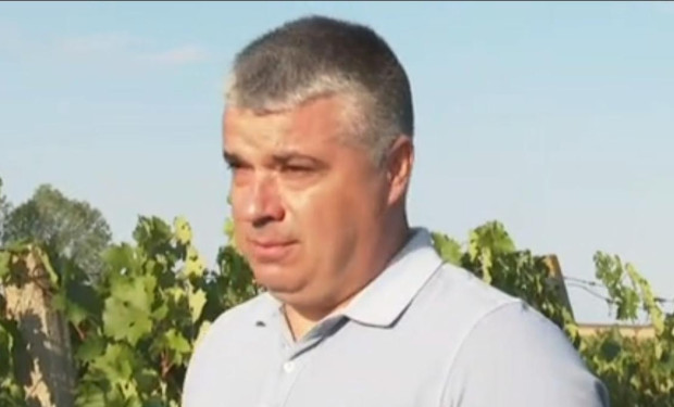 TD Производители на грозде сигнализират за слаба реколта и ниско качество