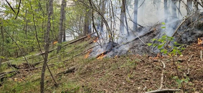 Между 10 и 20 дка смесена гора и ливади горят край маданското село Върбина