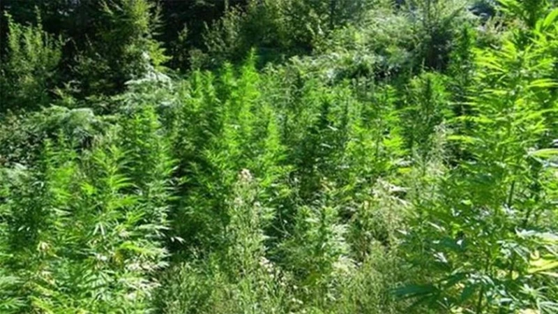 ���� �� ��������������: ��������� 76 �� �������