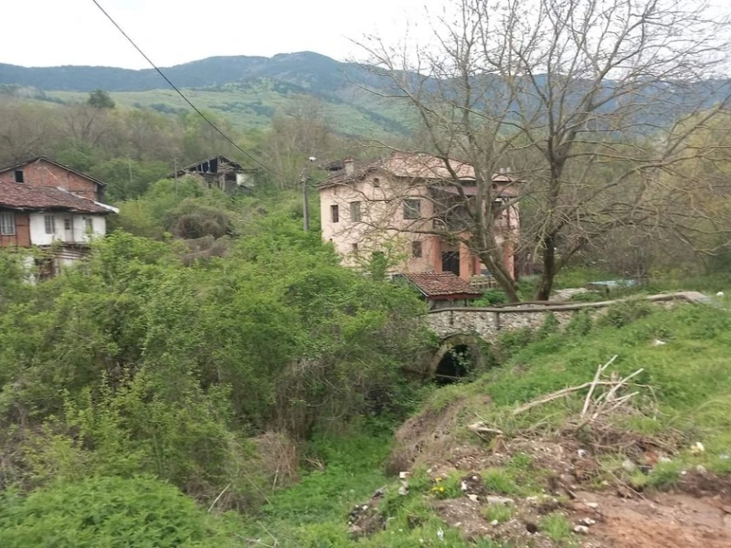 Корито на река се превърна в гора, вижте къде