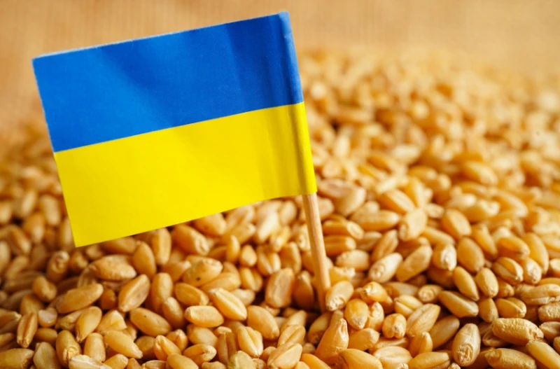 "Ембаргото остава!": Украйна се обръща към СТО заради забраната на Полша за зърното