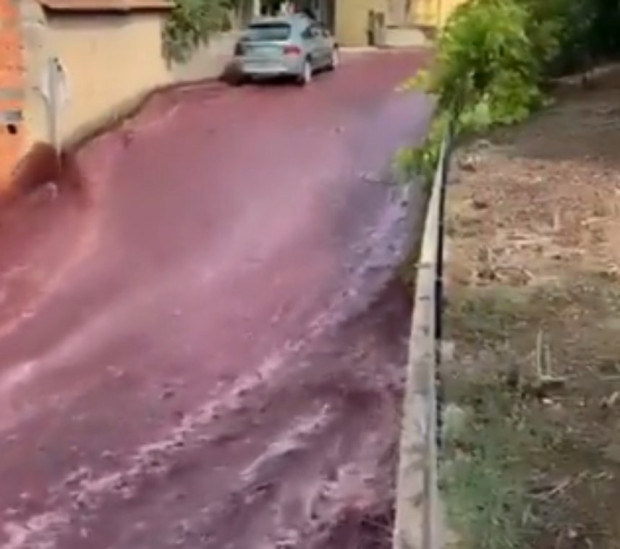 По улиците на португалско село потекоха реки от вино след