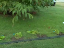 ��������� ���: ���� ��������� 15 ������������ ��������� ���� ��������