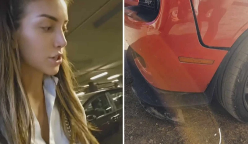 ���������� ��������� � ���� ��������� �� ����