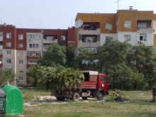 Режат млади дръвчета, за да направят нов пазар с паркинг в Тракия