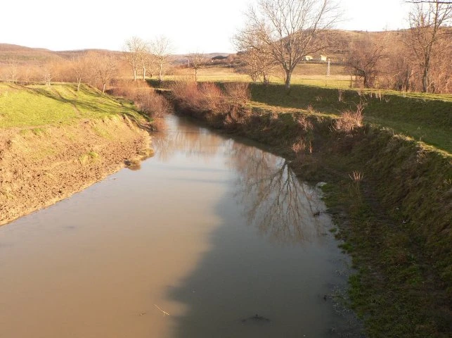 Труп изплува от водите на Черни Лом