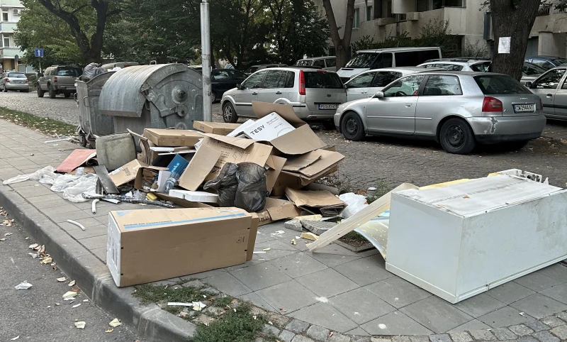 Пловдивчанка жегна възпитаните ни "съграждани"
