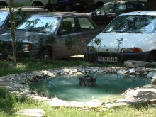 Водни лилии цъфтят в езеро пред блок