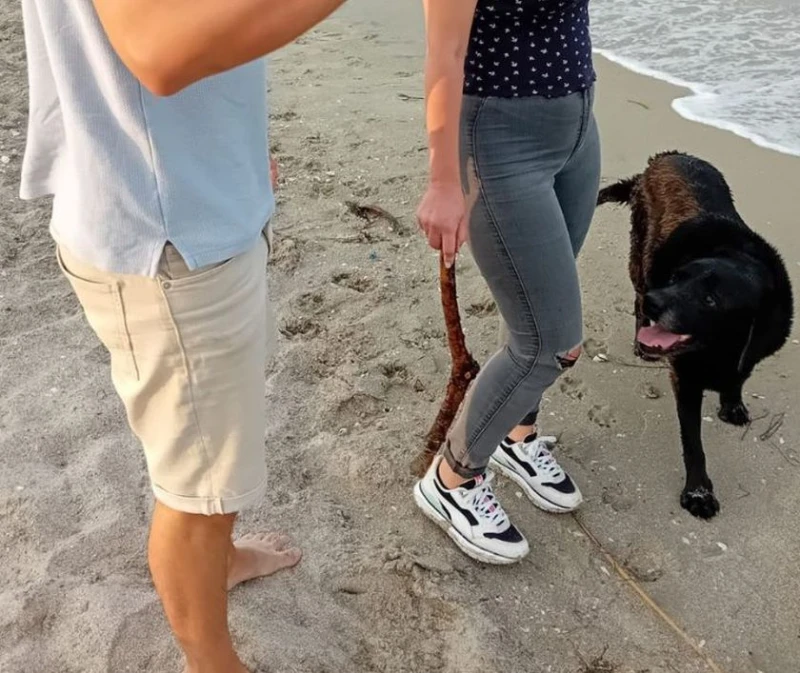 Без табели и въпреки забраните: Плажът на "Аспарухово" е пълен с хора, които разхождат кучетата си