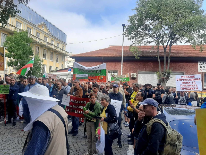 Пчеларите излязоха на протест, земеделският министър ги покани на среща