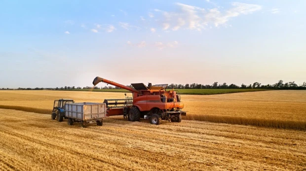 Словакия и Украйна се споразумяха да създадат разрешителна система за внос на зърно