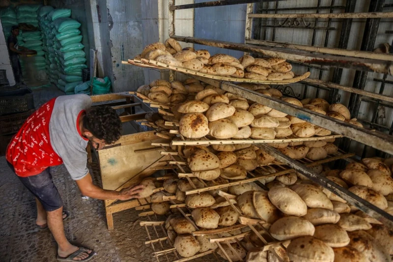 Bloomberg: Египет ще купува пшеница от България и Франция
