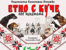Пловдив става център на кинологията
