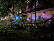 Счупени клони и дървета след силната буря в Благоевград