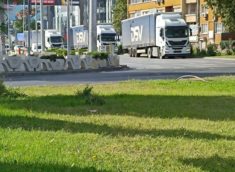 Няколко тира ядосаха пловдивчанка