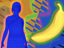 Хората и бананите споделят 60 процента ДНК