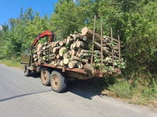 В Кюстендил задържаха незаконна дървесина