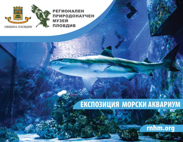 TD Природонаучният музей в Пловдив кани на незабравимо приключение което е