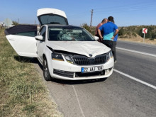 Турските власти задържаха шофьор, блъснал българин на път край Одрин
