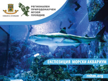 Природонаучният музей в Пловдив кани на незабравимо приключение - Нощ в музея