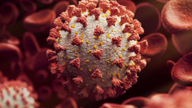 TD 253 са новите случаи на коронавирус у нас Направени са