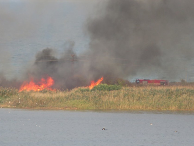 </TD
>Голям пожар гори край Атанасовското езеро в Бургас. Сигнал за