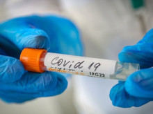 ���� � �������� �� COVID-19 �� ���������� 24 ����