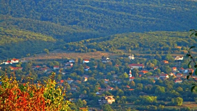Наше село без аналог в световен мащаб заради "живи изкопаеми". Единственото в България, където растат диви кактуси
