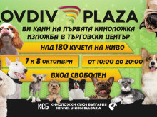 Над 180 породисти кучета участват в Международна киноложка изложба в търговски център тази събота и неделя!