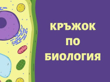 Кръжок по биология в Регионален природонаучен музей - Пловдив