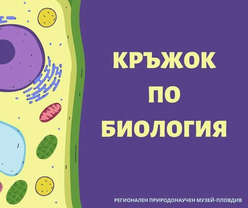 Кръжок по биология в Регионален природонаучен музей - Пловдив