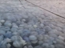 ��������� ��������� �� ������ � ����� ����