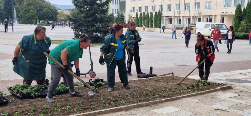 Започна есенното зацветяване на Търговище