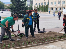 Започна есенното зацветяване на Търговище