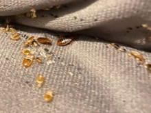 ���� ���������: ��������� � �������� ���������